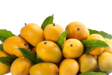mangos客户端mango官网中国官网