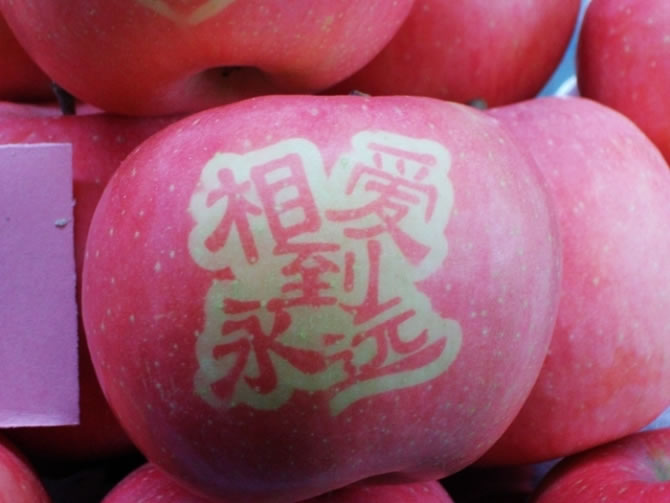 永久版签名苹果iOS永久签名工具