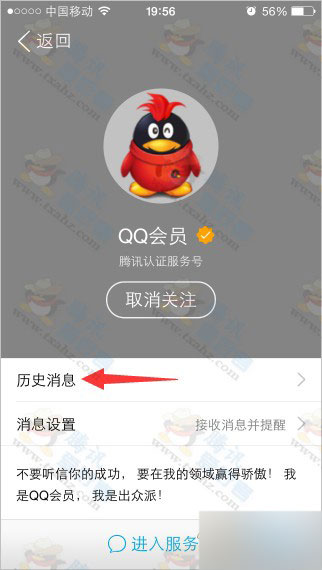 免费qq刷会员手机版刷会员永久免费网站-第2张图片-太平洋在线下载