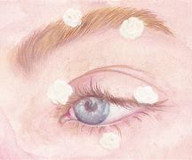 桃色恋恋全cg手机版纸巾盒桃子移植1000款黄油游戏