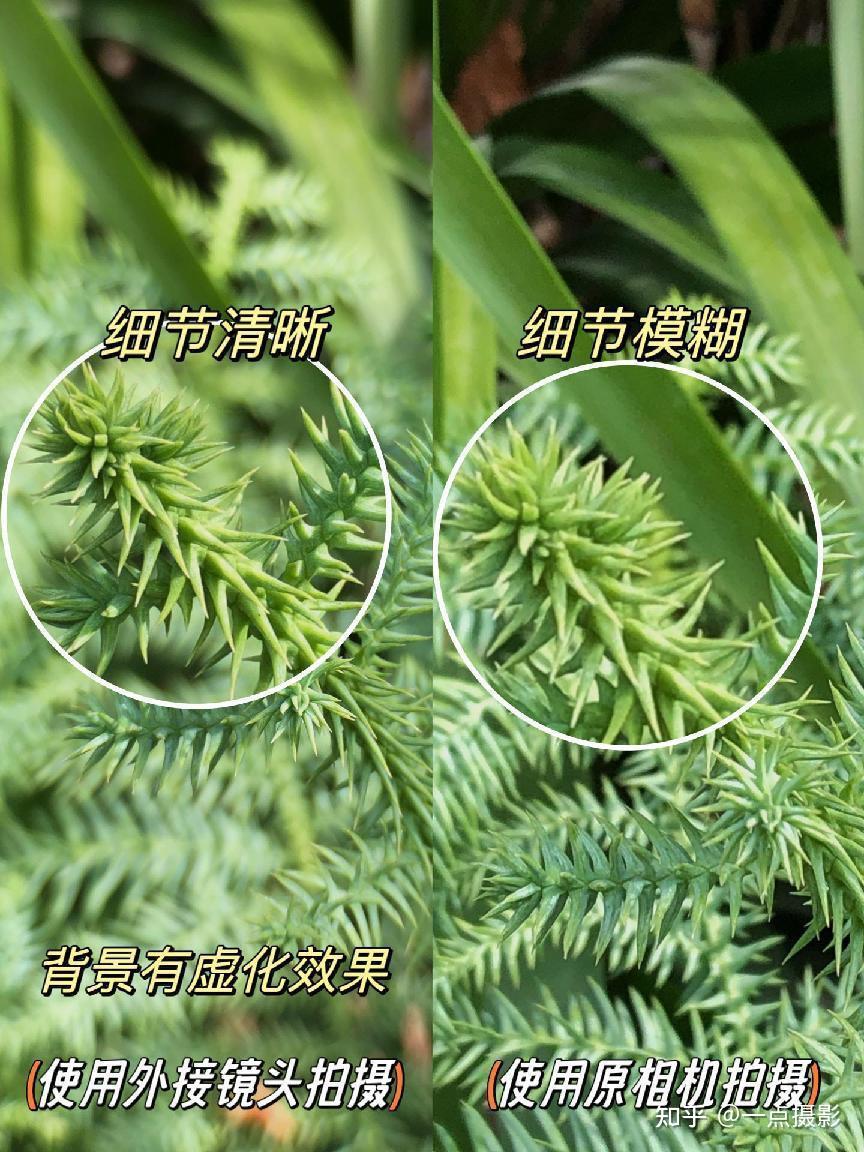 怎么降低图片画质手机版pubgtool画质修改器-第2张图片-太平洋在线下载