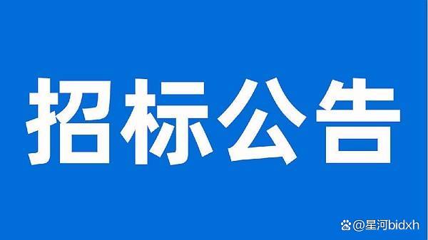星河集团投标客户端龙标电子招标投标交易平台官网