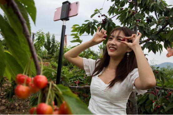 樱桃有直播客户端虎牙直播app下载
