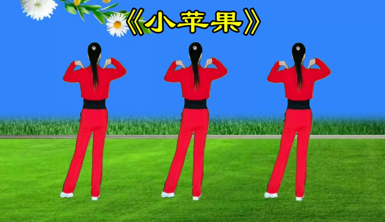 小苹果dj版慢速版动漫沙鸥遇海滩dj摇摆舞慢速教学-第2张图片-太平洋在线下载