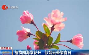 濠滨论坛苹果版0513濠滨论坛-第2张图片-太平洋在线下载
